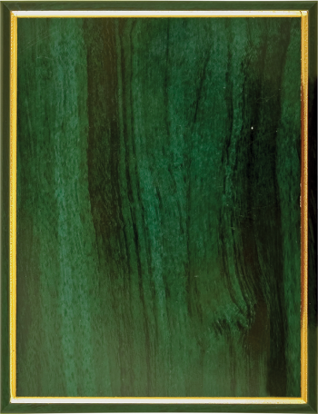 Плакетка из прессованного дерева 1914-225-105
